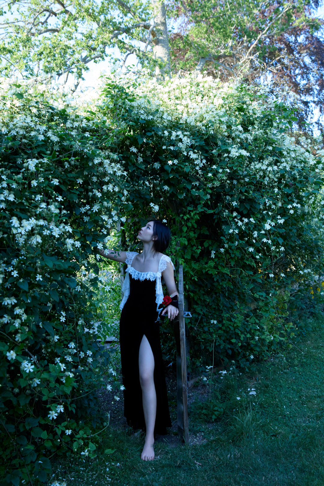 For Love and Lemons - La Vie En Bow Velvet Maxi Dress - Black